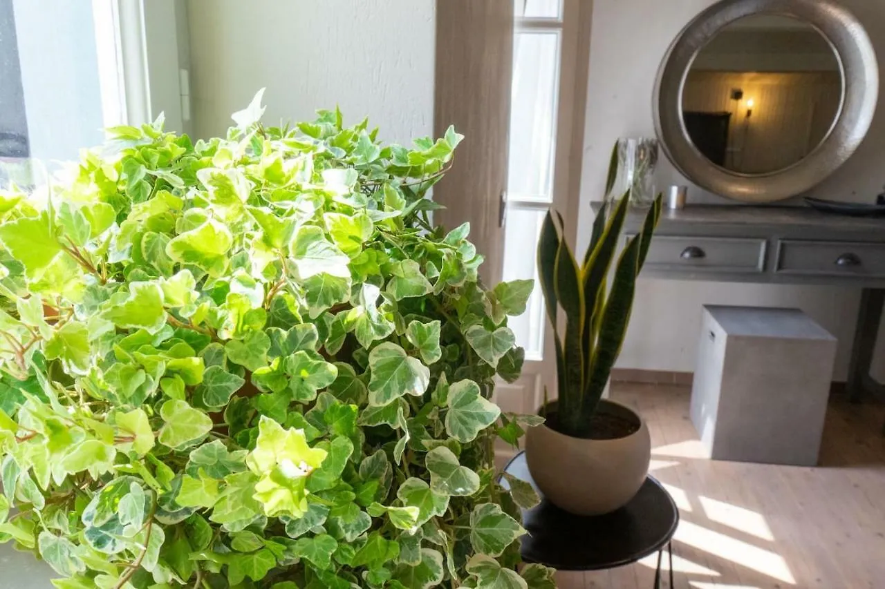 Appartamento Anna Maria'S, Cozy Studio In The Heart Of Fiscardo Fiskardo